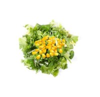 Kullananların tavsiyesi salata karıştırma maşası modellerinin üreticisinden satış fiyatlarıyla salata karıştırma salata servis maşası toptan fiyat listesi salata karıştırma maşası satışı proje@mutfakmalzemeleri.com